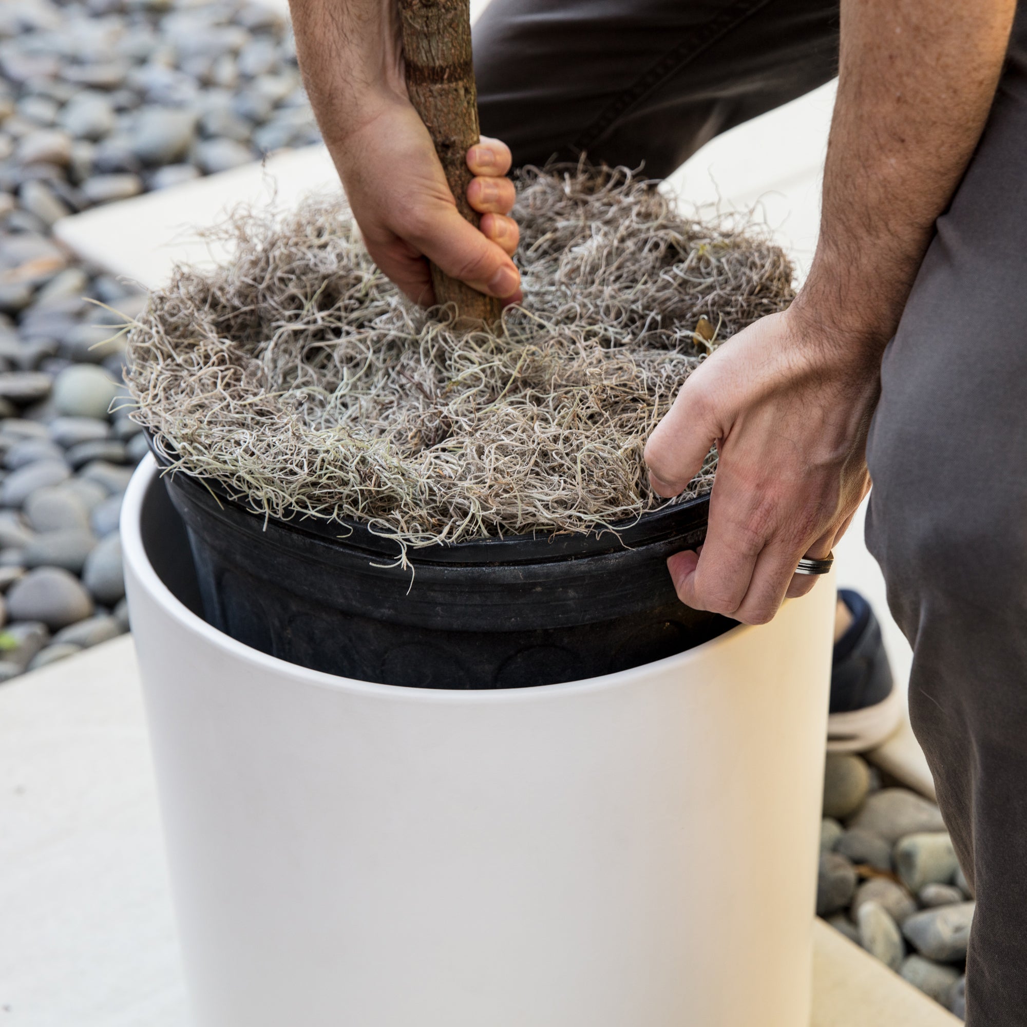 The Ceramic Cylinder Planter with Saucer, 2nd Generation