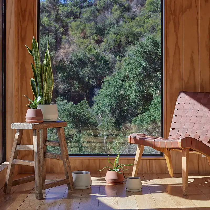 Modern interior with wooden chair, stool, and plants near a large window with a view of trees.