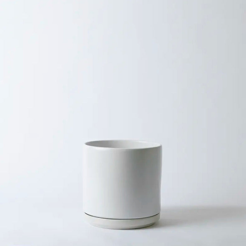 White 10 Inch ceramic planter on a light gray background