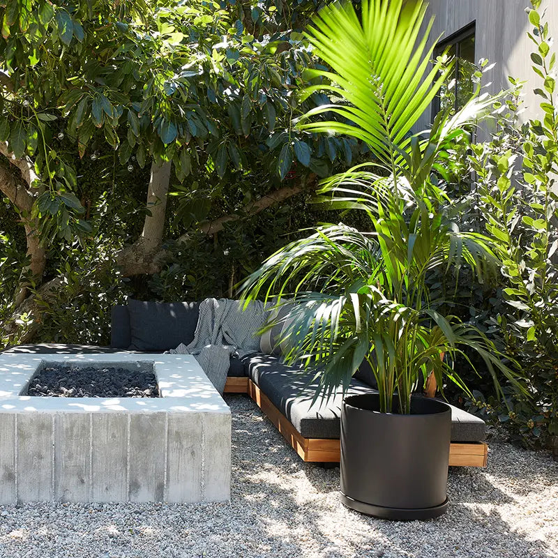 Outdoor seating area with a fire pit, couch, and potted plant in a garden setting.