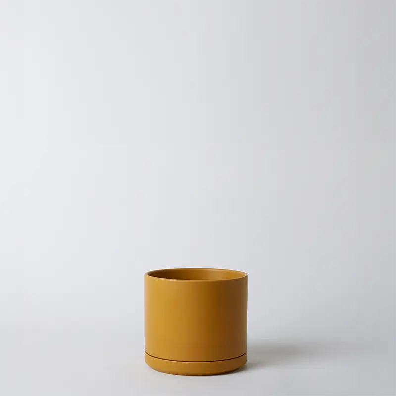 Mustard 6 Inch cylindrical pot on a light gray background