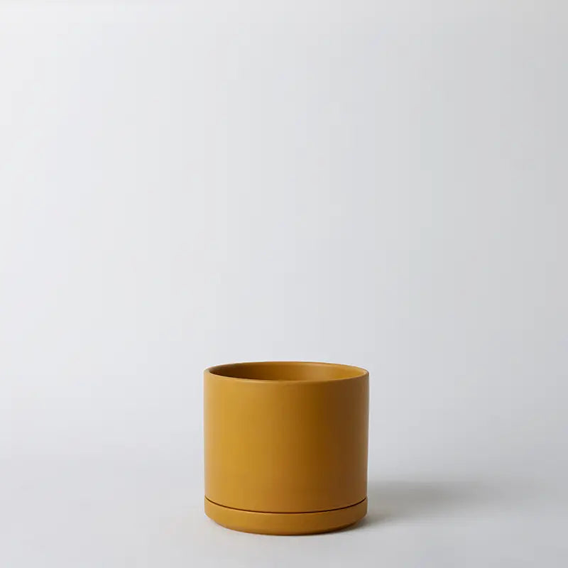 Mustard 8 Inch ceramic pot on a white background