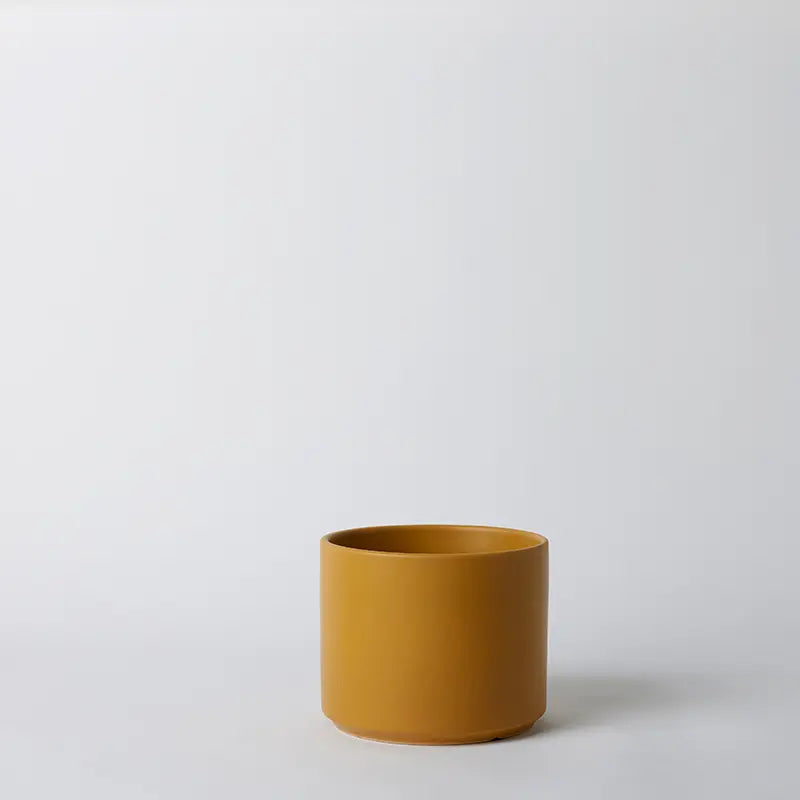 Mustard 8 Inch ceramic pot on a light gray background