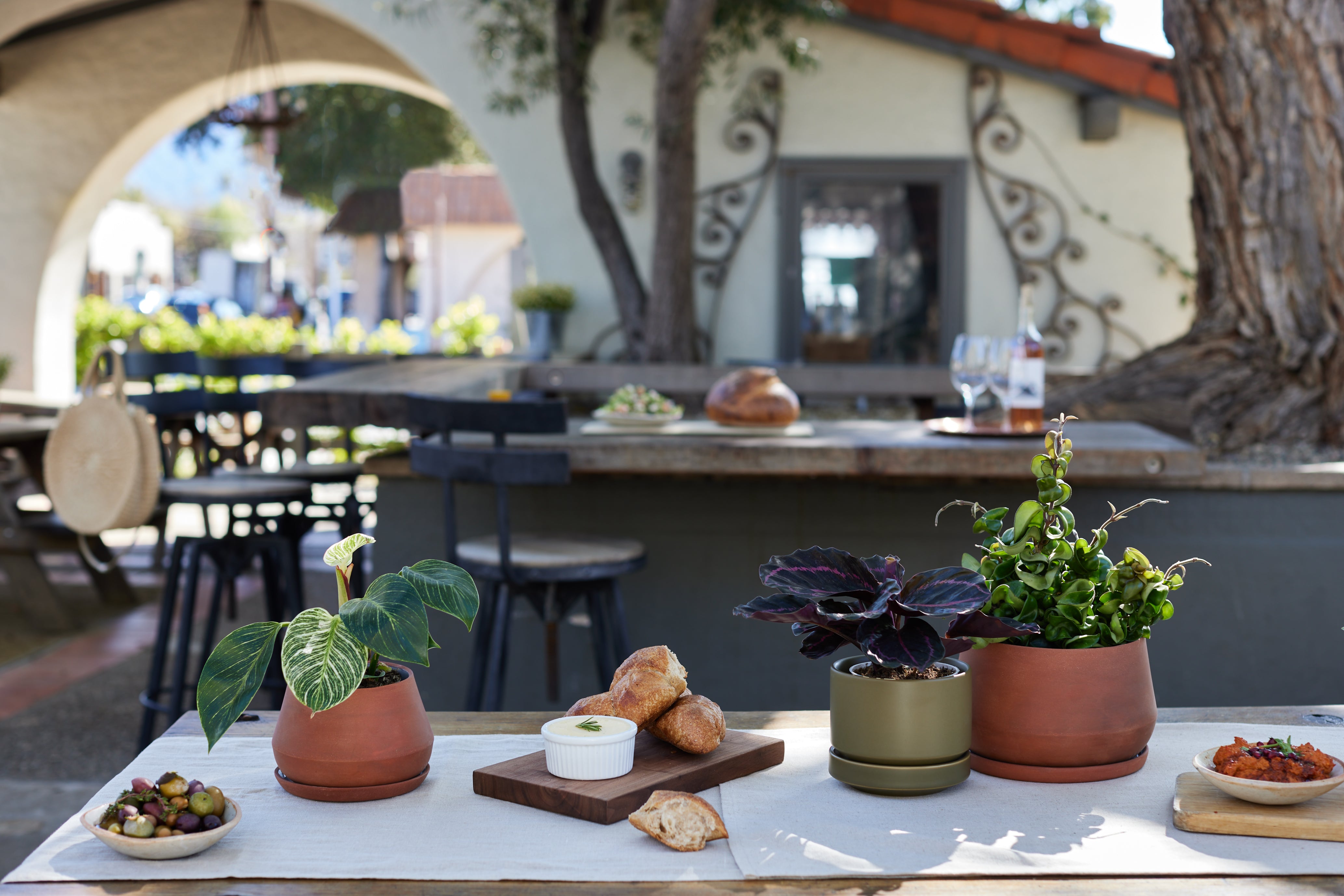 Outdoor dining setup with plants and food on a table.