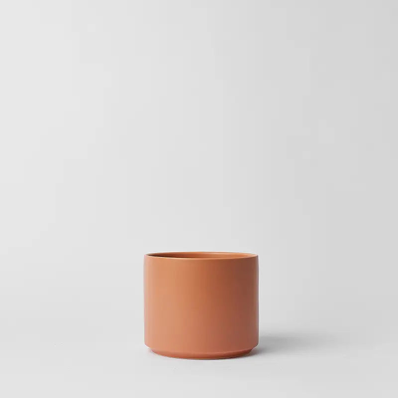 PeachyCotta 6 Inch pot on a light gray background