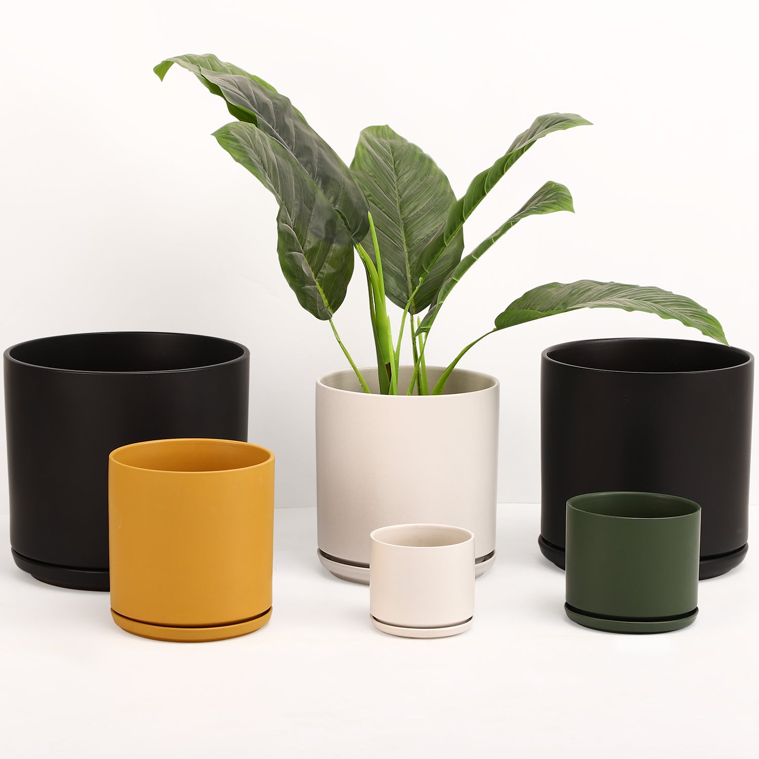 The Ceramic Cylinder Planter with Saucer, 2nd Generation