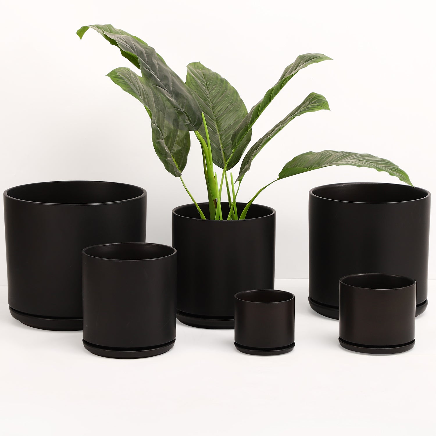 The Ceramic Cylinder Planter with Saucer, 2nd Generation