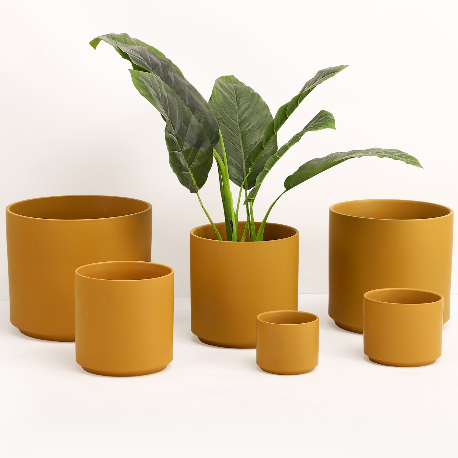 The Ceramic Cylinder Planter, 2nd Generation
