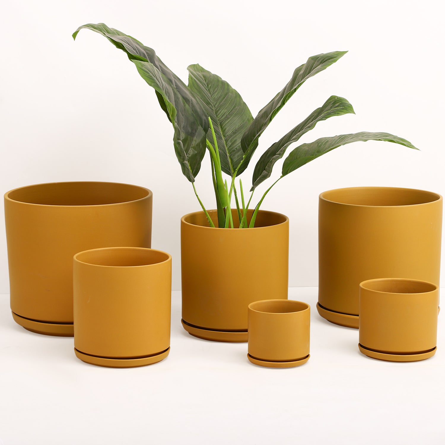 The Ceramic Cylinder Planter with Saucer, 2nd Generation